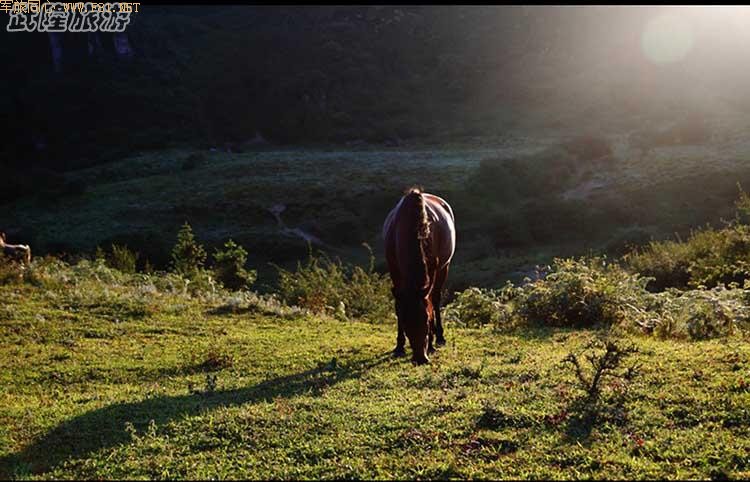 ����������Ϣ