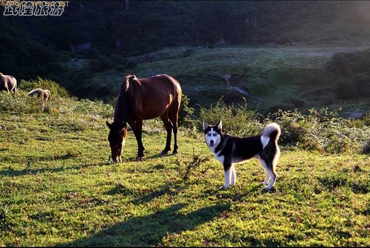 ����������Ϣ