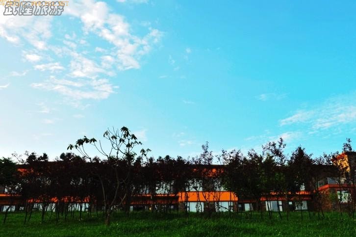 ������Ů��