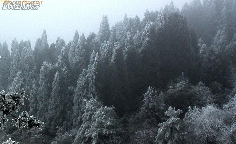 ��ѩ�е���Ůɽ