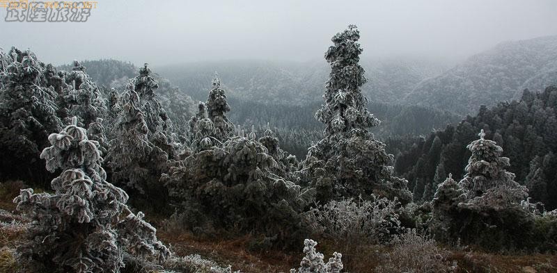 ��ѩ�е���Ůɽ