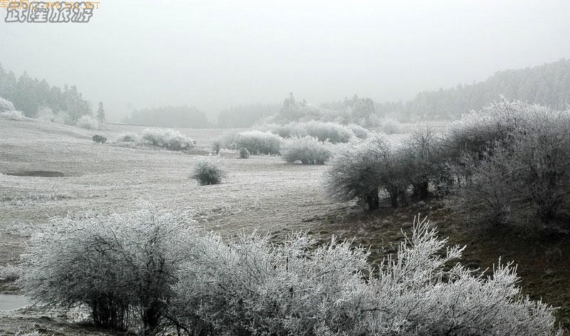 ��ѩ�е���Ůɽ