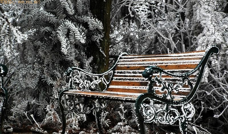 ��ѩ�е���Ůɽ