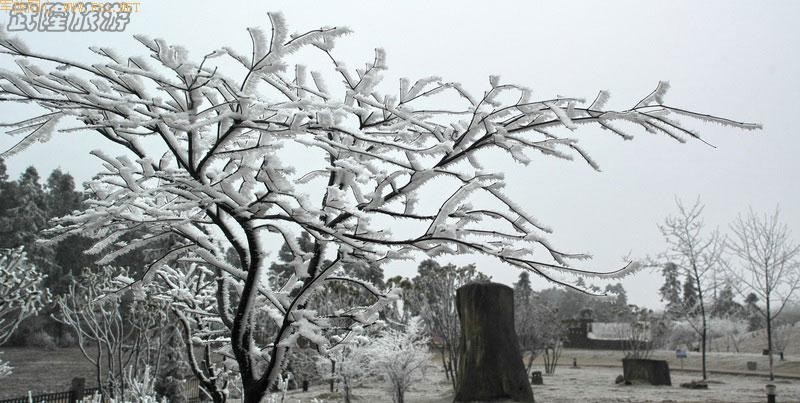 ��ѩ�е���Ůɽ