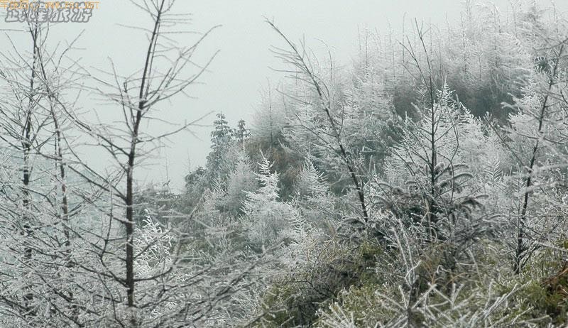 ��ѩ�е���Ůɽ