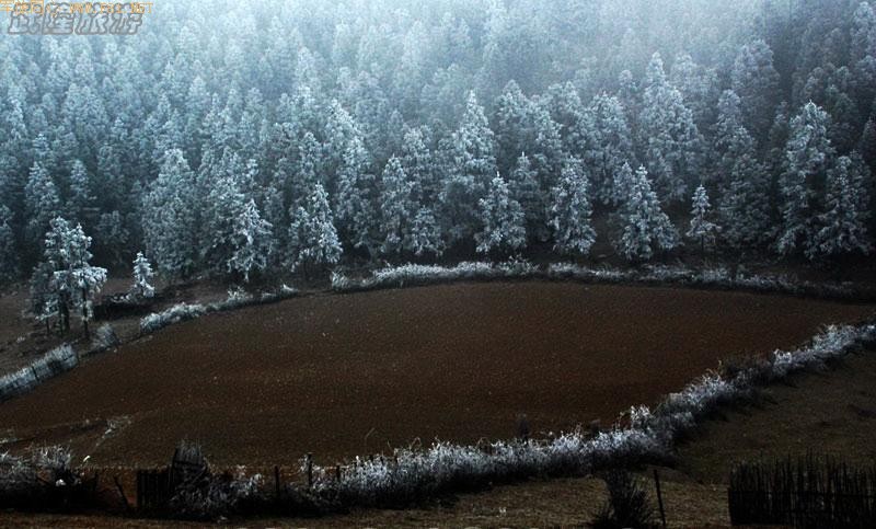 ��ѩ�е���Ůɽ