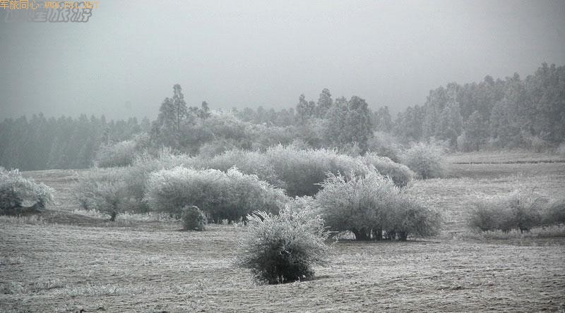 ��ѩ�е���Ůɽ