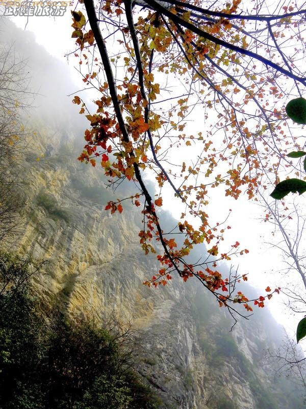 ����֮��-��ˮϿ�ط�