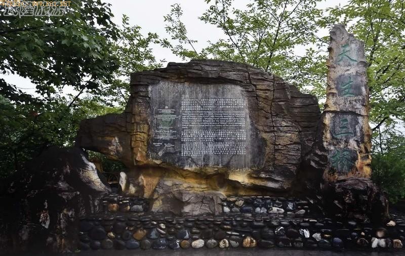 ���е���¡