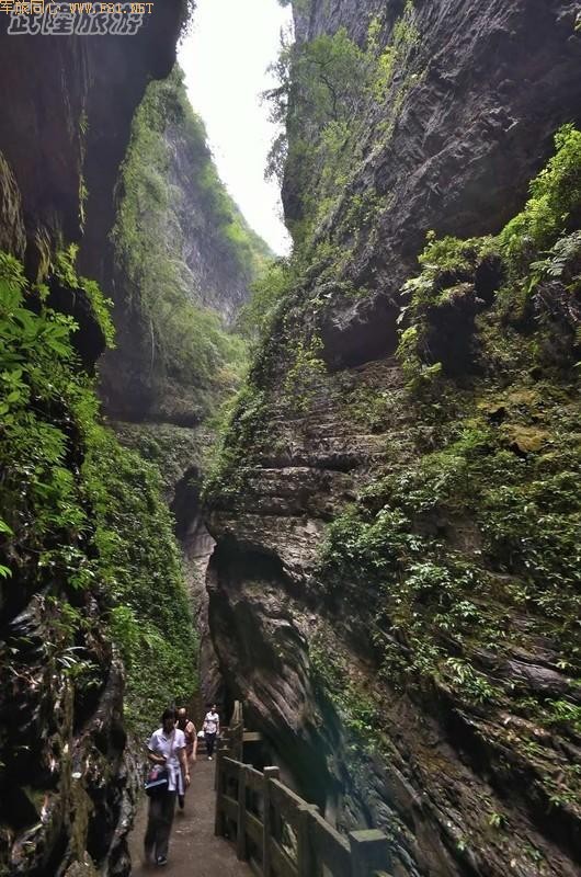 ���е���¡