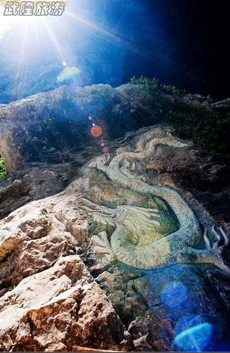 ���������µ��������~