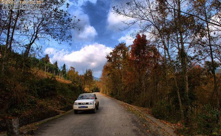 ��¡����