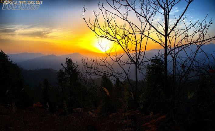 ��¡����