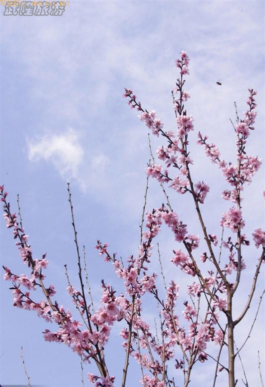 ������Ƶ���¡��Ůɽ