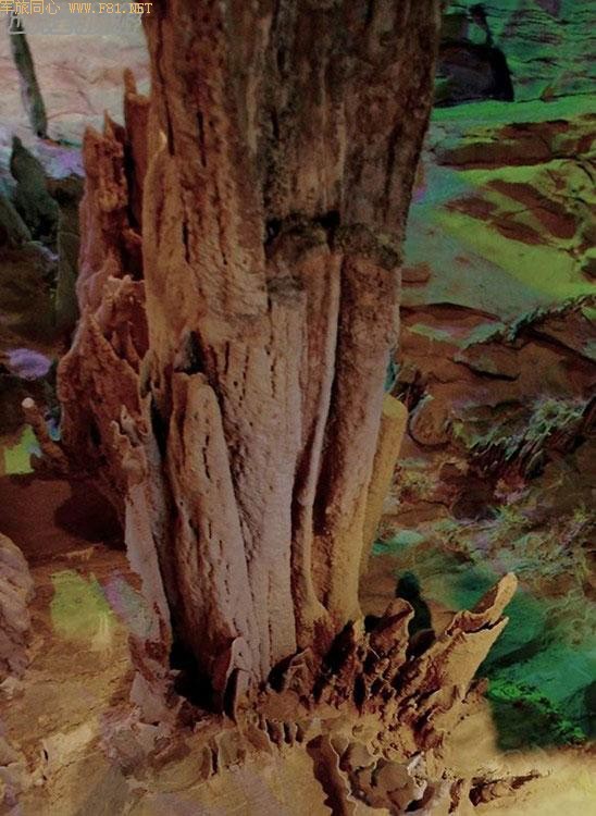 ����ܽ�ض�