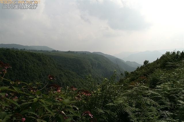 ��Ůɽ-----ʨ���ҡ���Ůʯ