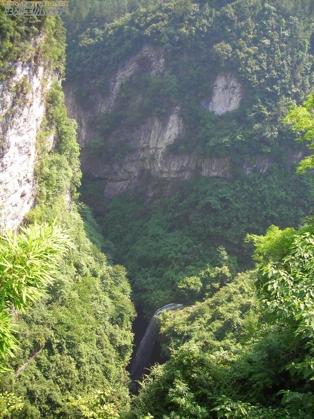 ���ٲ�������¡