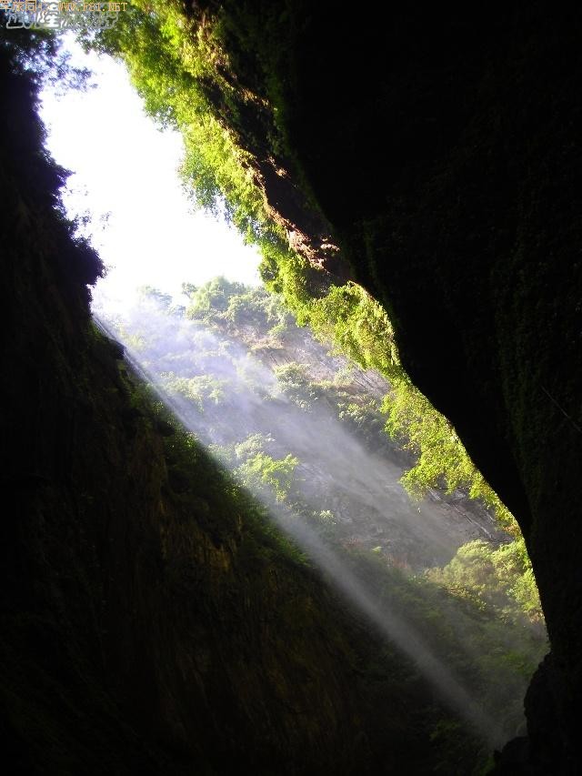 ���ٲ�������¡