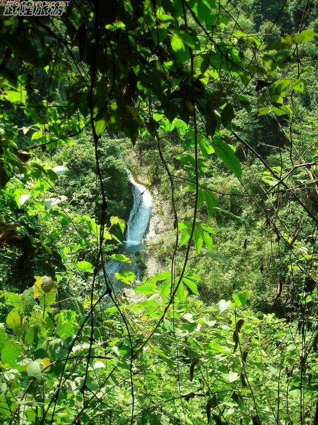 ���ٲ�������¡