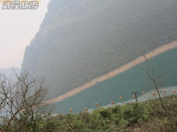 ���Ŵ����ܽ�ؽ�