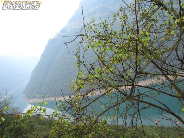 ���Ŵ����ܽ�ؽ�