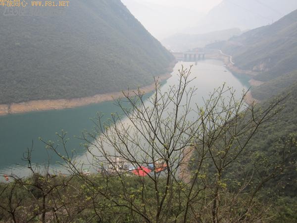 ���Ŵ����ܽ�ؽ�