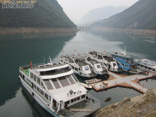 ���Ŵ����ܽ�ؽ�