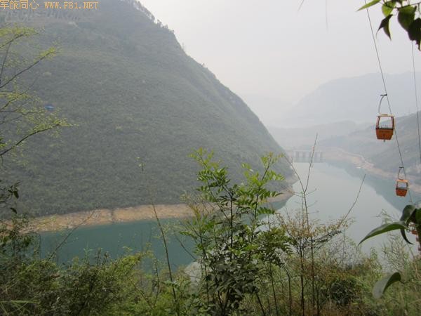 ���Ŵ����ܽ�ؽ�