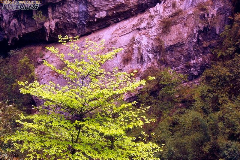 ������ѷ졪����ˮϿ�ط�