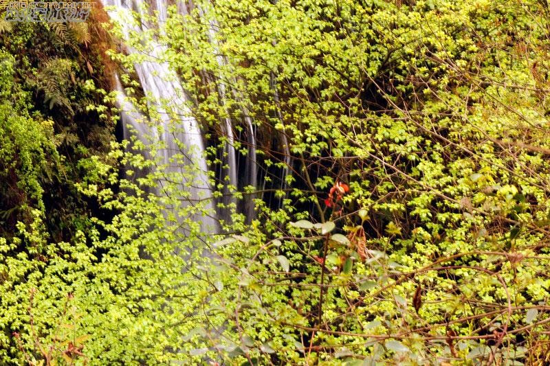 ������ѷ졪����ˮϿ�ط�