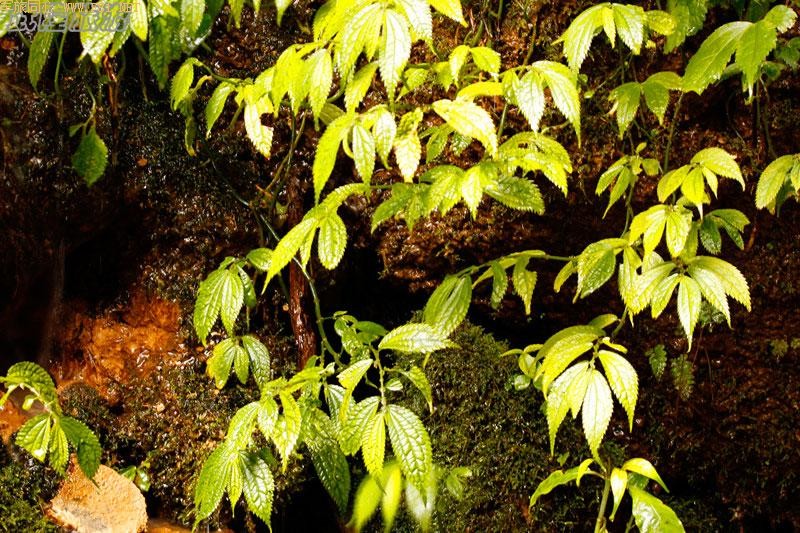 ������ѷ졪����ˮϿ�ط�