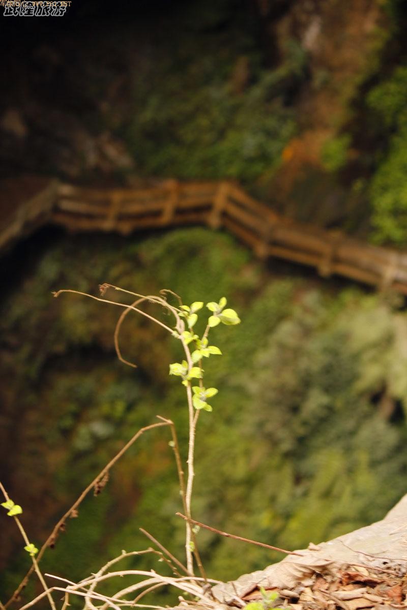 ������ѷ졪����ˮϿ�ط�