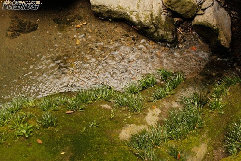 ������ѷ졪����ˮϿ�ط�