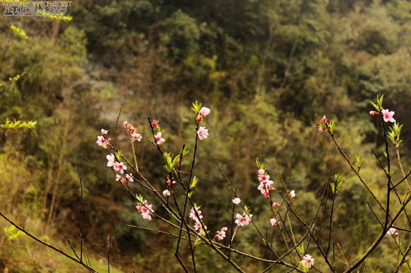 ������ѷ졪����ˮϿ�ط�