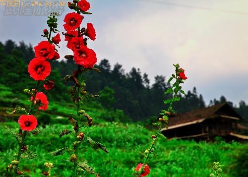 ��¡��ɽ��δʶ����Ȼ����