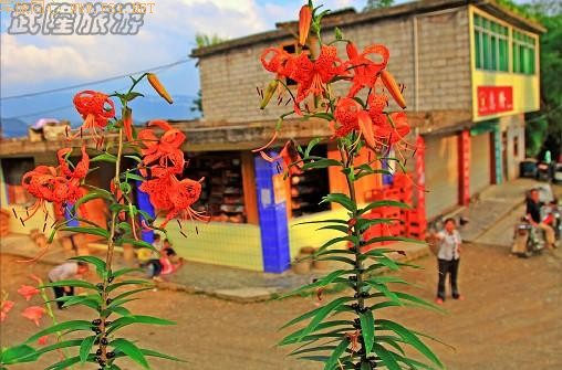 ��¡��ɽ��δʶ����Ȼ����