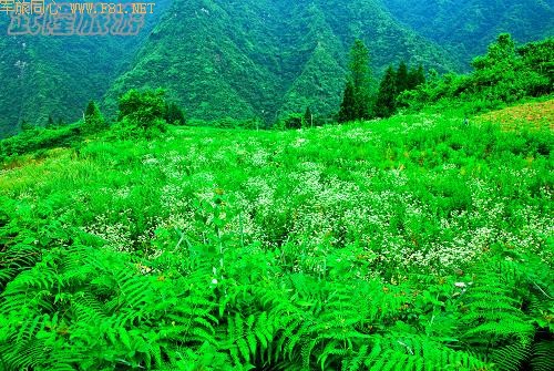 ��¡��ɽ��δʶ����Ȼ����