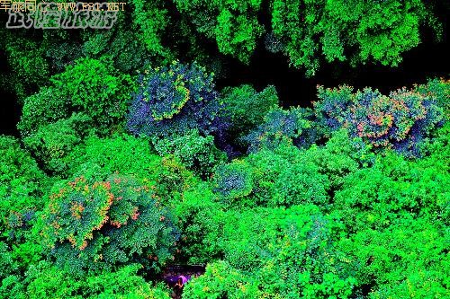 ��¡��ɽ��δʶ����Ȼ����