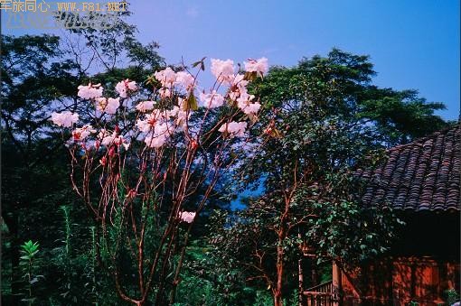 ��¡��ɽ��δʶ����Ȼ����