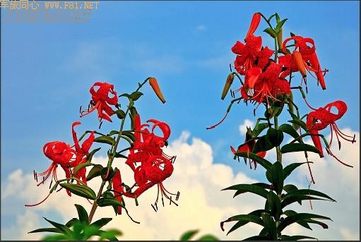 ��¡��ɽ��δʶ����Ȼ����