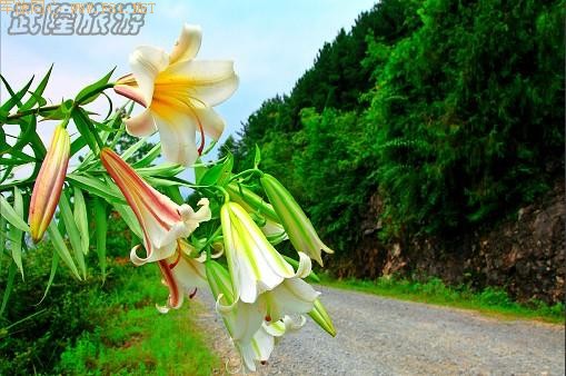 ��¡��ɽ��δʶ����Ȼ����