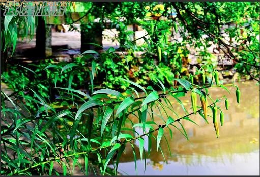 ��¡��ɽ��δʶ����Ȼ����