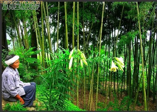 ��¡��ɽ��δʶ����Ȼ����