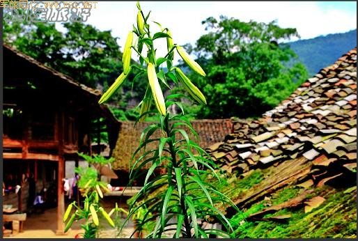 ��¡��ɽ��δʶ����Ȼ����