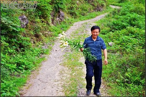 ��¡��ɽ��δʶ����Ȼ����