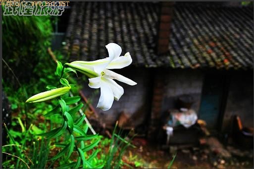 ��¡��ɽ��δʶ����Ȼ����