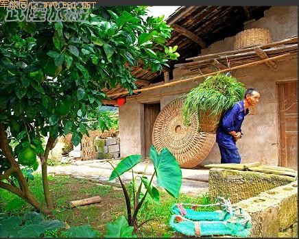 ��¡��ɽ��δʶ����Ȼ����