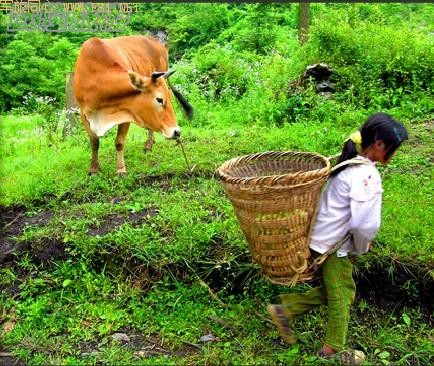 ��¡��ɽ��δʶ����Ȼ����