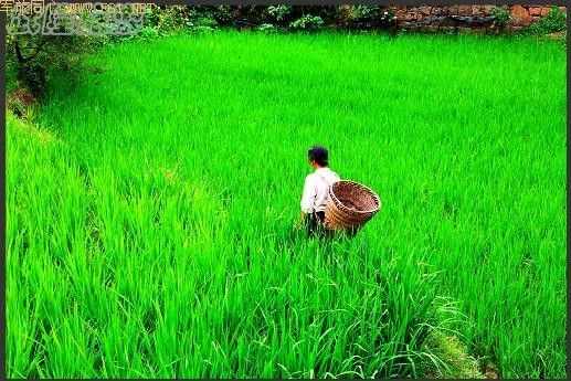 ��¡��ɽ��δʶ����Ȼ����