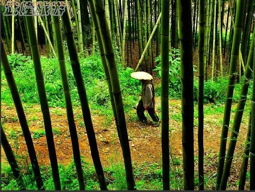 ��¡��ɽ��δʶ����Ȼ����